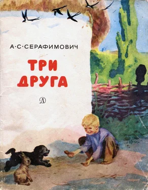 Александр Серафимович Три друга[с иллюстрациями] обложка книги