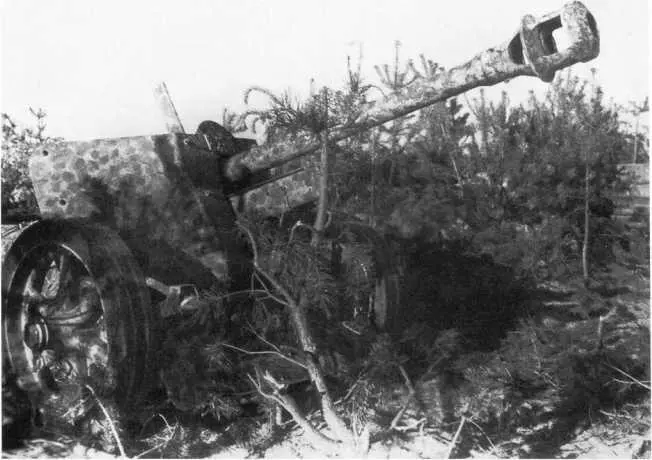Трофей Красной Армии 75мм противотанковая пушка Pak 40 захваченная в ходе - фото 151