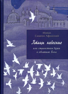 Монах Афонский Птицы небесные. 1-2 части обложка книги