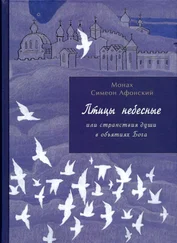 Монах Афонский - Птицы небесные. 1-2 части