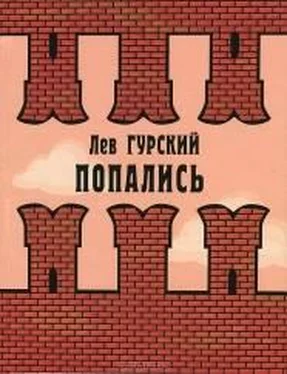 Лев Гурский Франшиза обложка книги