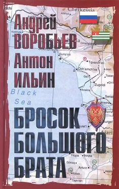 Андрей Воробьев Секс-ловушка для Папы Карло обложка книги