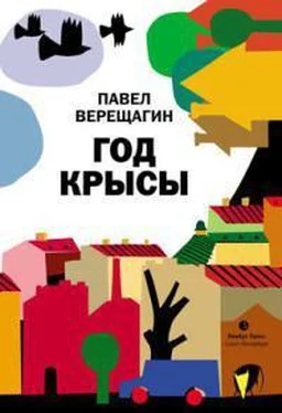 Павел Верещагин Невеселая история обложка книги