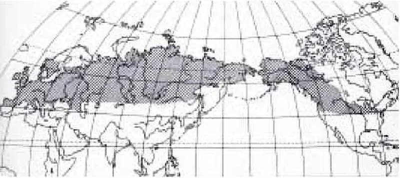 Рис 24 Распространение мамонтов в позднем плейстоцене В этих условиях к - фото 25