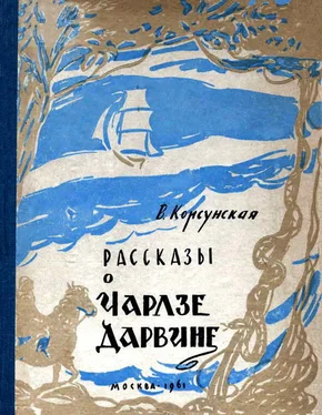 Вера Корсунская Рассказы о Чарлзе Дарвине обложка книги