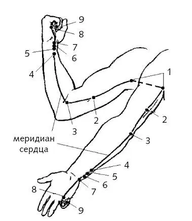 Рис 2Меридиан сердца 1 Цзицюаньглубокий родник расположена при - фото 17