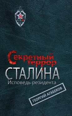 Георгий Агабеков Секретный террор Сталина. Исповедь резидента обложка книги