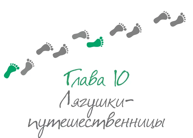 Я всегда мечтал путешествовать и объехать все мир Я вообще считаю что придет - фото 38