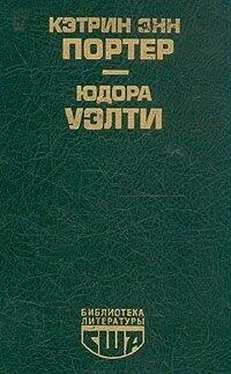 Кэтрин Энн Портер Array Библиотека литературы США обложка книги