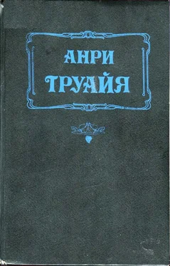 Анри Труайя Прекрасная и неистовая Элизабет обложка книги