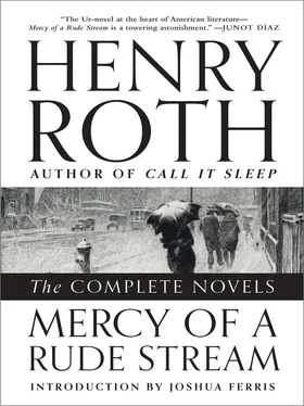 Henry Roth Mercy of a Rude Stream: The Complete Novels обложка книги