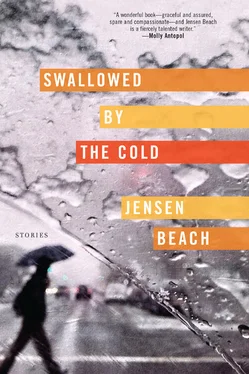 Jensen Beach Swallowed by the Cold: Stories обложка книги