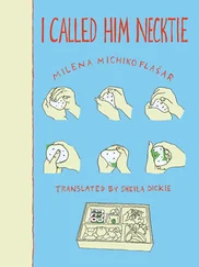 Milena Flašar - I Called Him Necktie