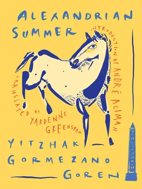 Yitzhak Goren Alexandrian Summer обложка книги
