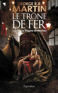 George Martin Les dragons de Meereen обложка книги