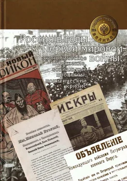 Коллектив авторов Россия в годы Первой мировой войны: экономическое положение, социальные процессы, политический кризис обложка книги