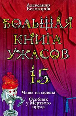 Александр Белогоров Большая книга ужасов – 15 обложка книги