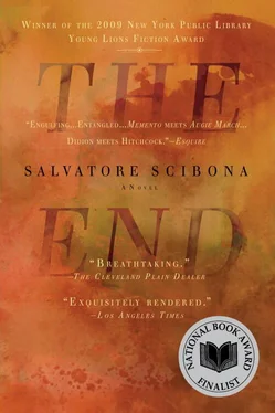 Salvatore Scibona The End обложка книги