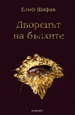 Елиф Шафак Дворецът на бълхите обложка книги