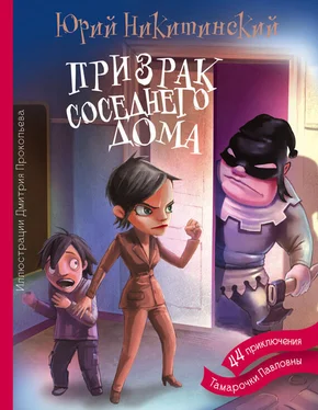 Юрий Никитинский Призрак соседнего дома, или 44 приключения Тамарочки Павловны обложка книги