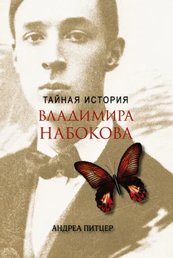 Андреа Питцер Тайная история Владимира Набокова обложка книги