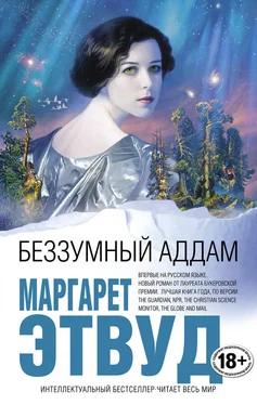 Маргарет Этвуд Беззумный Аддам обложка книги