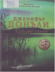 Дженифър Донъли - Северно сияние