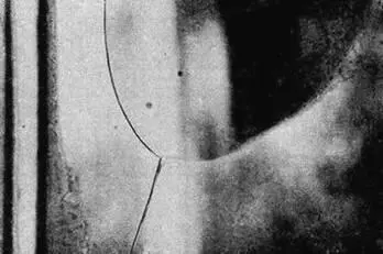 Рис 111 Чёрные метки зафиксированные СПКузионовым на фотоплёнку спустя - фото 112