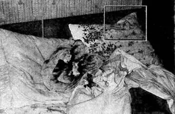 Рис 6 Последствия самовозгораний постели лик главы семьи выделено в - фото 6