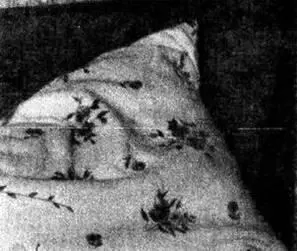 Рис 7 Фрагмент подушки с ликом главы семьи И глава семьи и его сын всё - фото 7