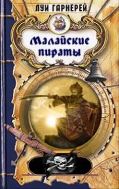 Луи Гарнерей Малайские пираты обложка книги