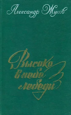 Александр Жуков Высоко в небе лебеди обложка книги