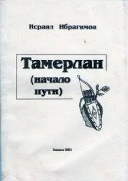 Исраил Ибрагимов Тамерлан (начало пути) обложка книги