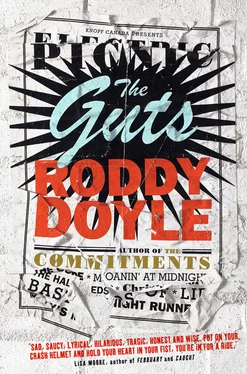 Roddy Doyle The Guts обложка книги