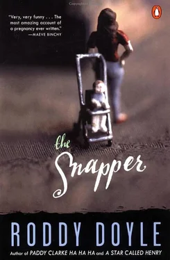 Roddy Doyle The Snapper обложка книги