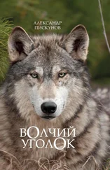 Александр Пискунов - Волчий уголок