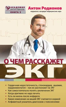 Антон Родионов О чем расскажет ЭКГ обложка книги