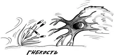 Жилбыл могучий дуб Он гордо и нерушимо возвышался посреди поля где простоял - фото 18