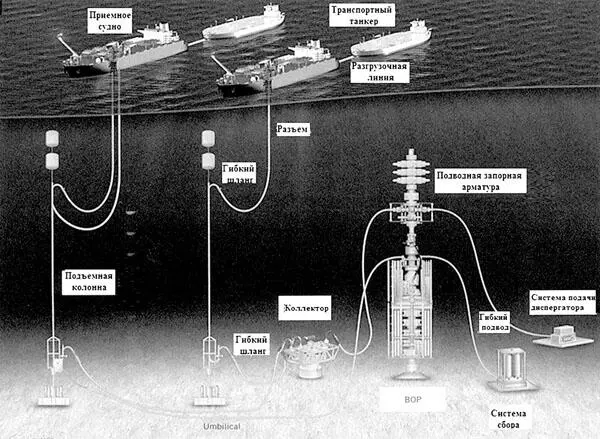 Рис 20 Глубоководная добыча нефти Прогнозная оценка технически извлекаемых - фото 21