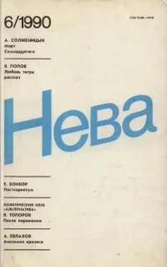 Петр Свириденко Знаменитого деда внук обложка книги