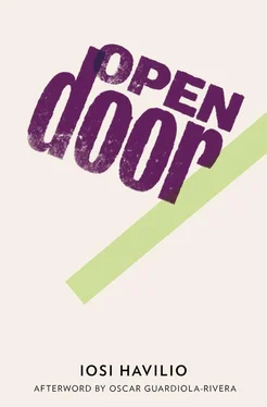 Iosi Havilio Open Door обложка книги