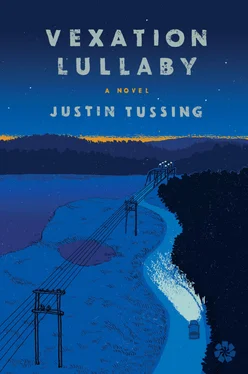 Justin Tussing Vexation Lullaby обложка книги