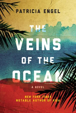 Patricia Engel The Veins of the Ocean обложка книги