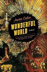 Javier Calvo - Wonderful World