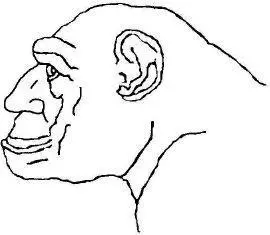 Yes I shouted Thats it Thats the nose I want I forgot myself I was - фото 21