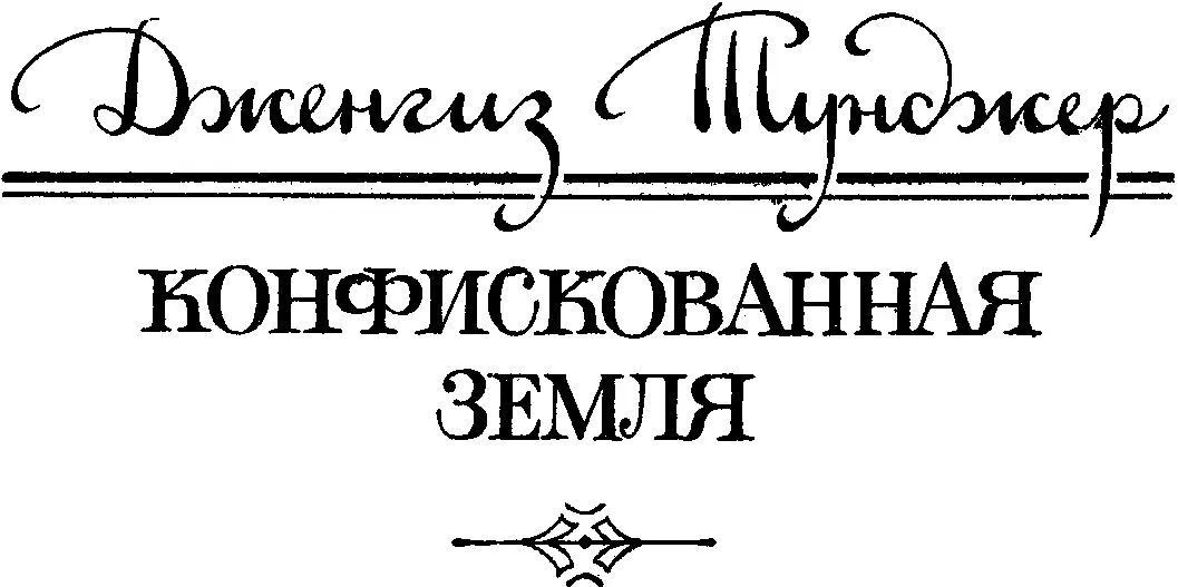 Дженгиз Тунджер КОНФИСКОВАННАЯ ЗЕМЛЯ Перевод Л Дудиной ГЛАВА ПЕРВАЯ - фото 16