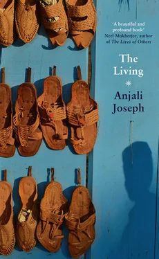 Anjali Joseph The Living обложка книги