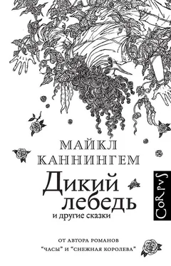 Майкл Каннингем Дикий лебедь и другие сказки обложка книги