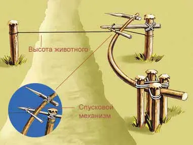 Удары натянутых стальных или костяных дротиков может оказаться смертельным для - фото 4