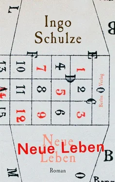 Ingo Schulze Neue Leben обложка книги